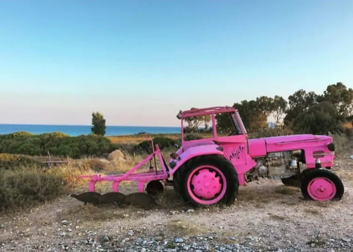 فندق Mojito لاخنيا